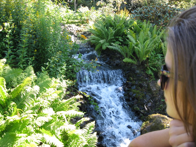 botanic garden ;d