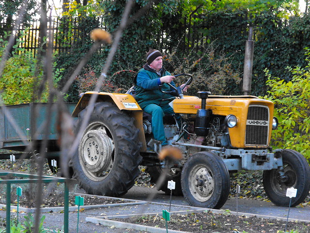 Farmer  
