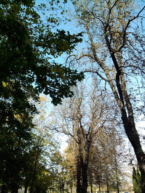 Park ;PP