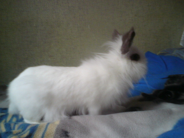 Fanta...;D