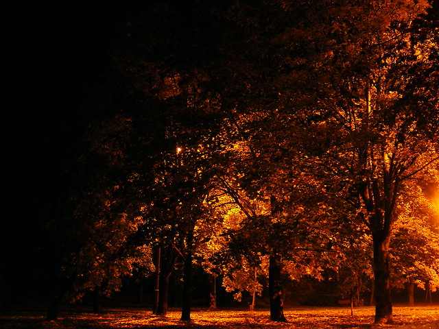 Park kusociskiego noc....