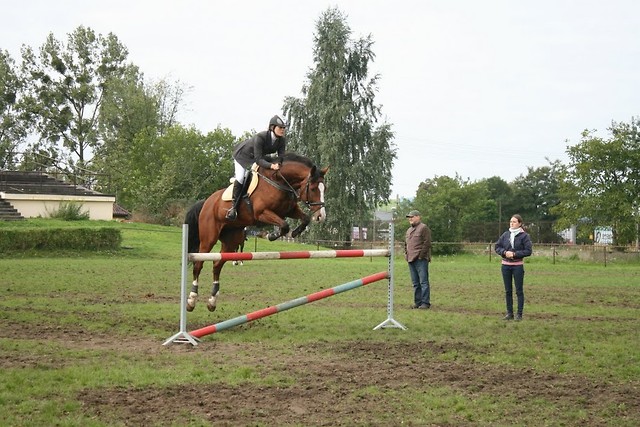 Wpis equestrian