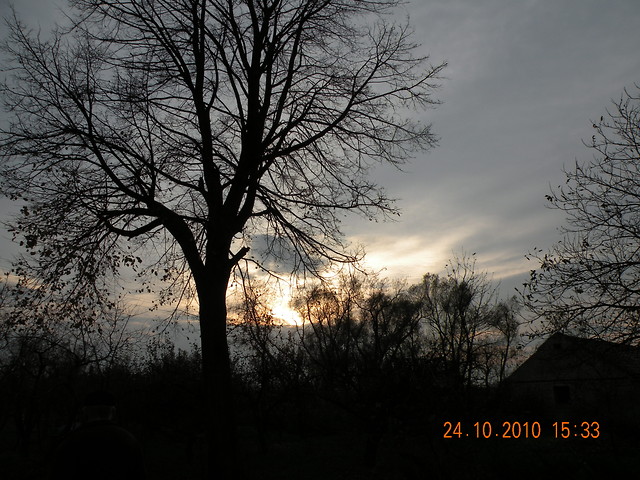 Wpis naturaleza788