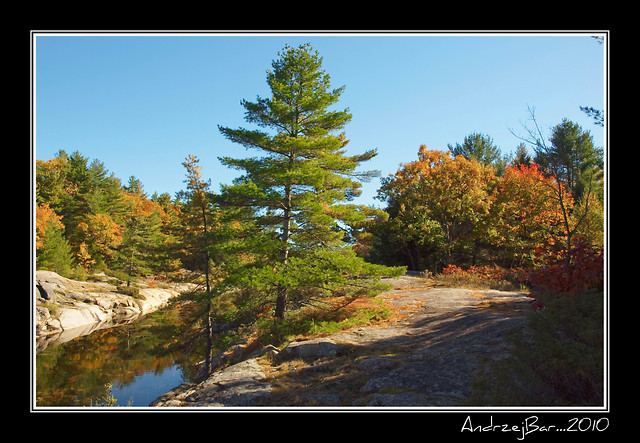 Jasien na PN Ontario