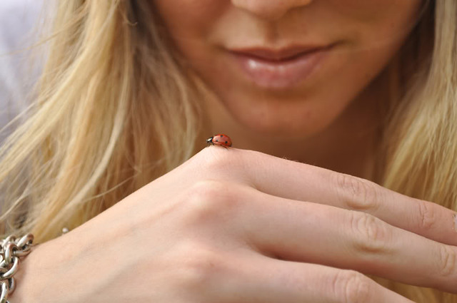 Wpis sweetxcherry
