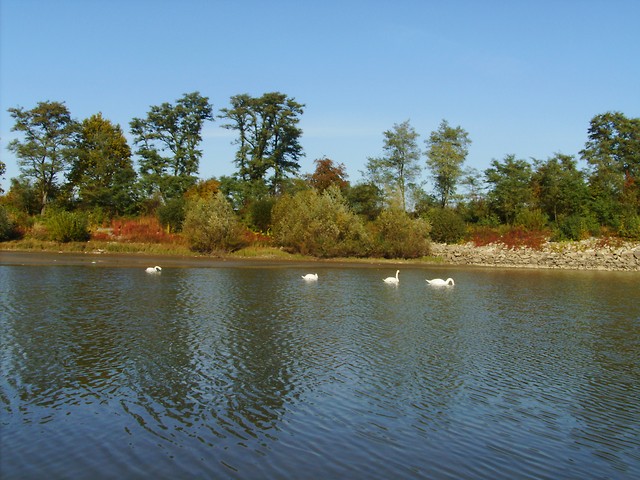 Wpis roksana08