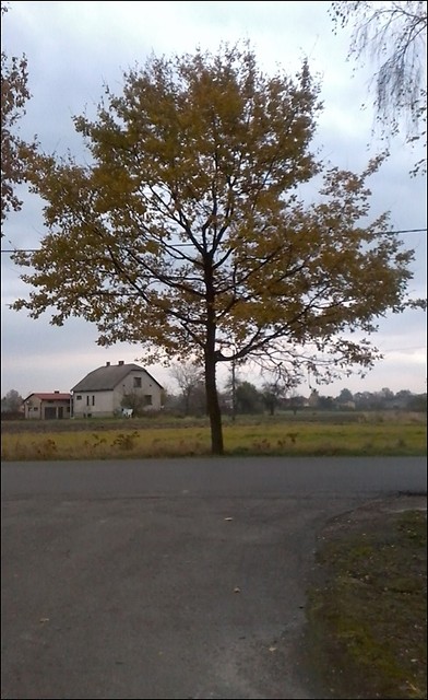 Ostateczno .