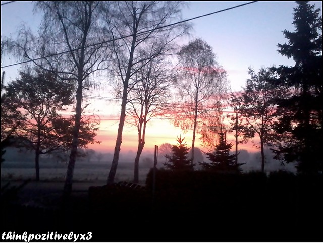 ninawi to co zego ;/ daun