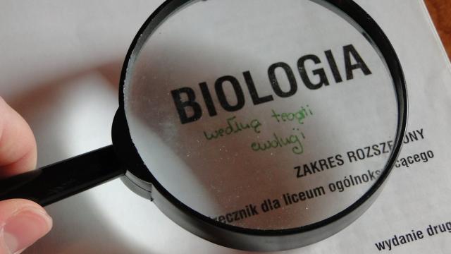 teoria 