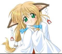 Wpis katinaa