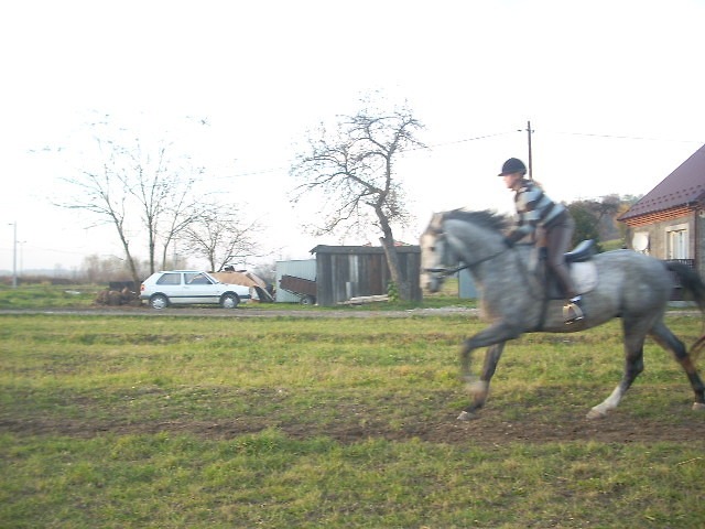 Galop :)