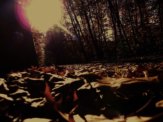 Wpis littledeath93