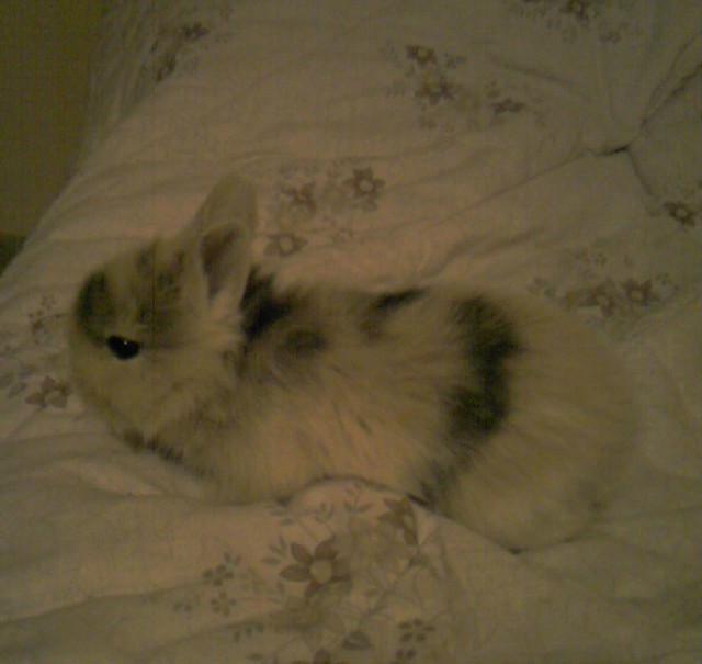 moja kochana Luka:))):*