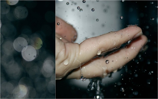 Wpis annaphotograph
