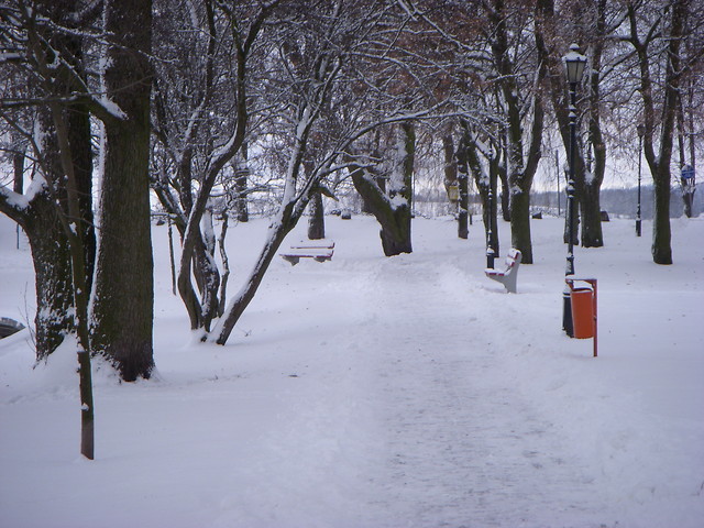 Wpis taemilii