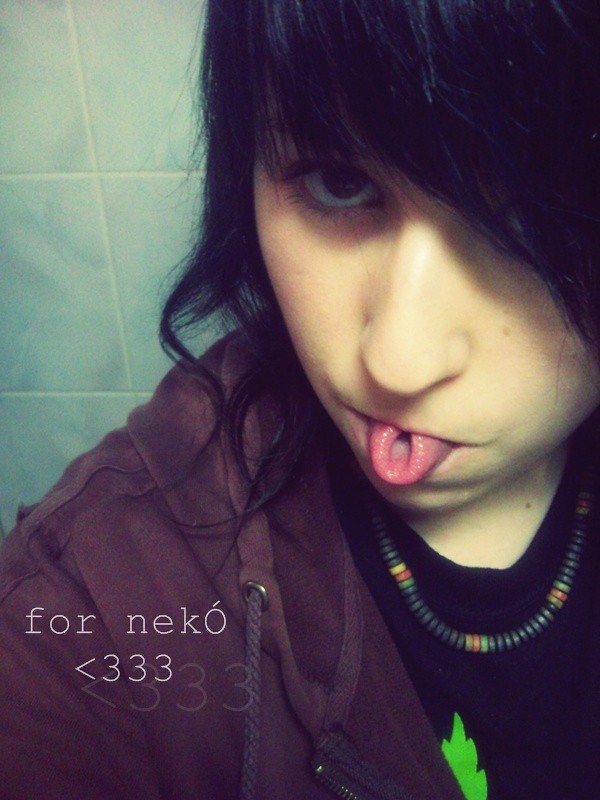 Wpis nekonishimoto