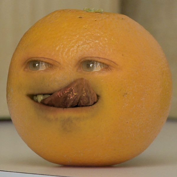 Wpis nospell