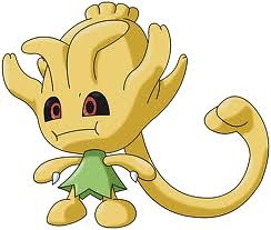 dinjucakox