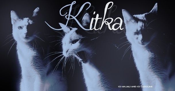 Wpis kitkafanclub