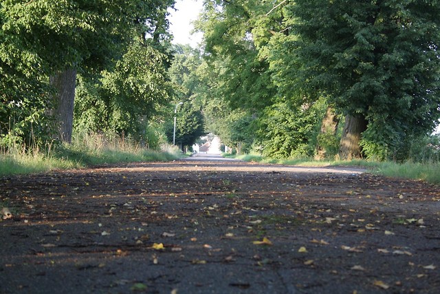 Bisztyn.