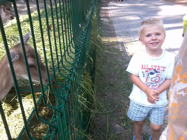 Tomek in da zoo