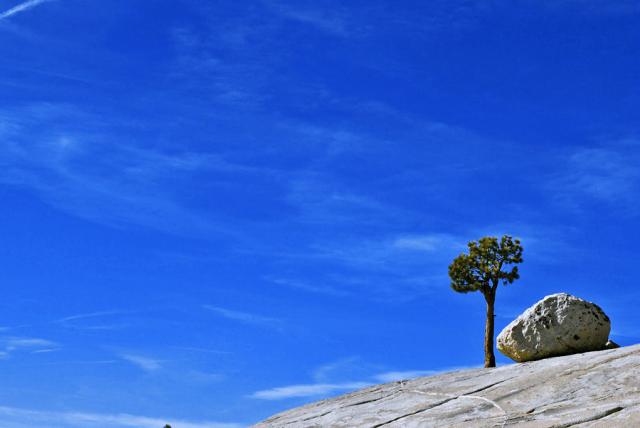 Yosemite - Olm Sted Point