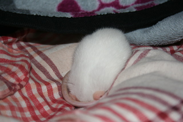 Biauha:)