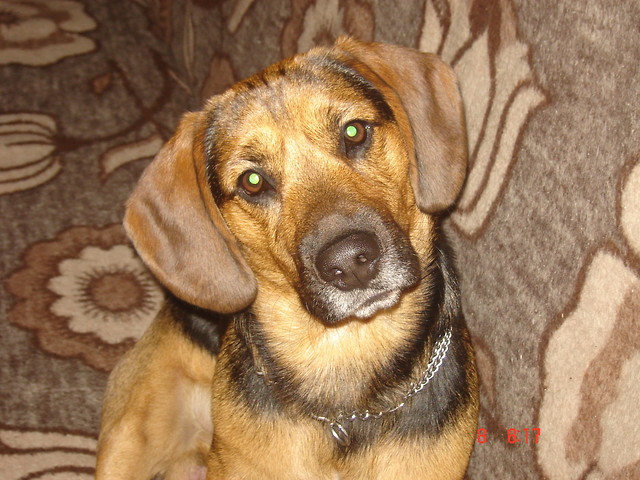 Pluto :D