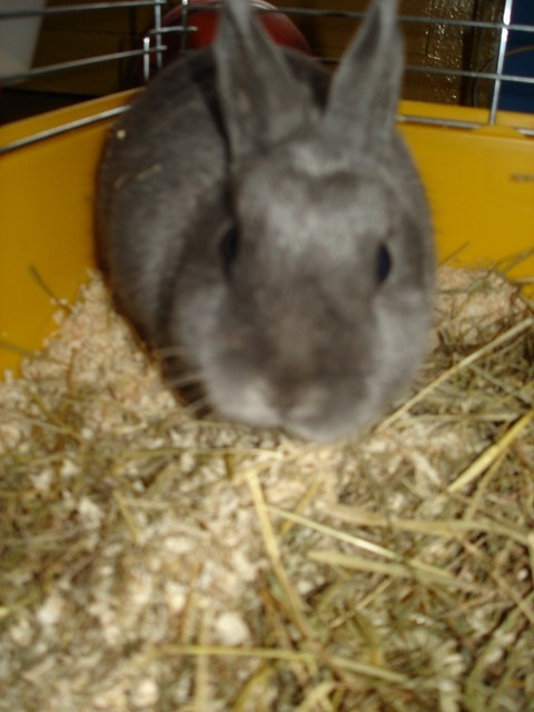Puucek :*