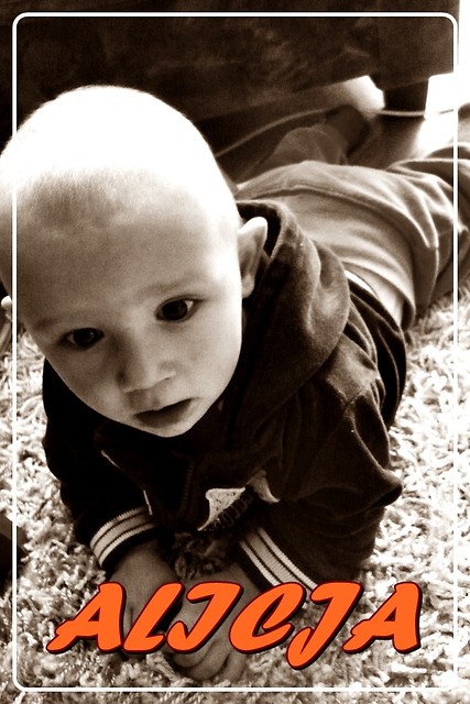 Sodziak mj :**