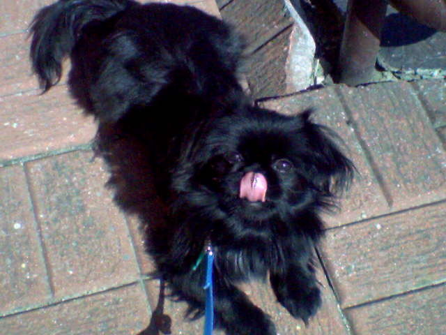 jzorek ;p