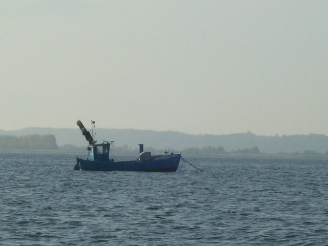 Rewa