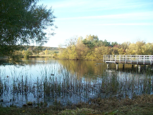 Ogrd Botaniczny