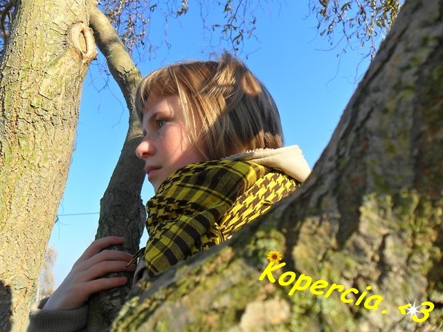 KOPERCIA.