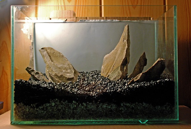 iwagumi step 2, 3 