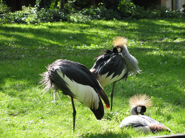 Wpis wunderlichewelt