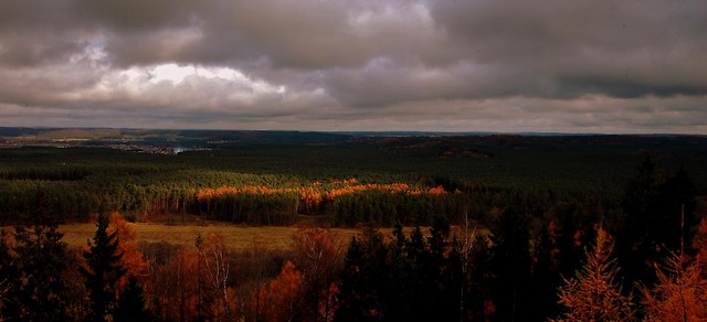Krajobrazowo.