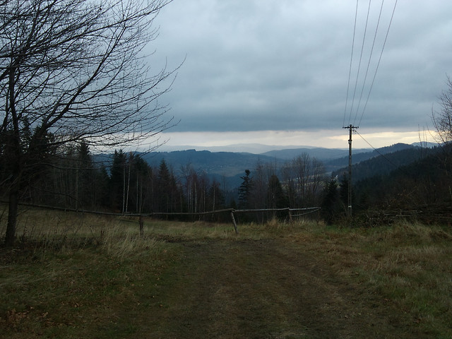 Wpis zkielbasawkieszeni