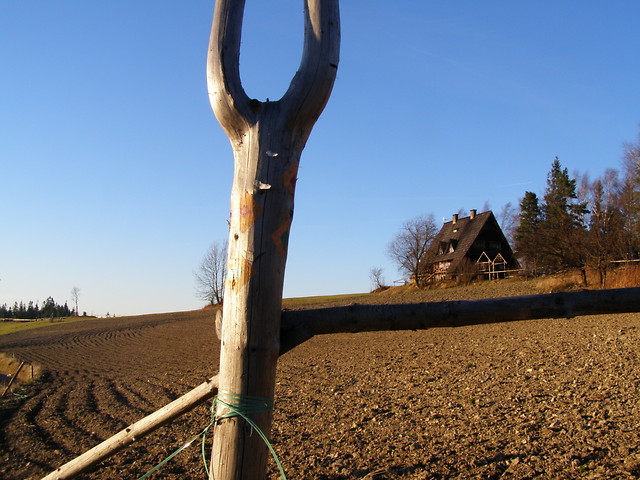 Schronisko na Maciejowej 