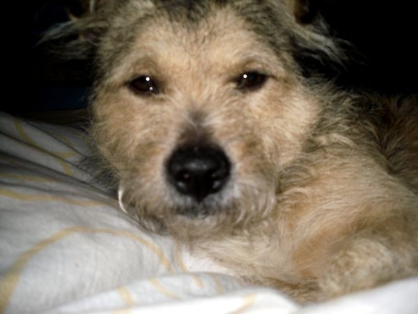 Bobi :*