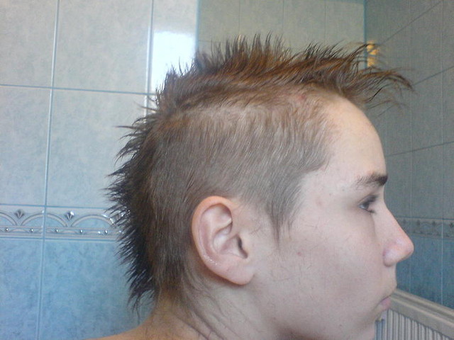 new fryz