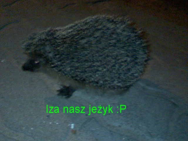 bylo mega ubnica :P