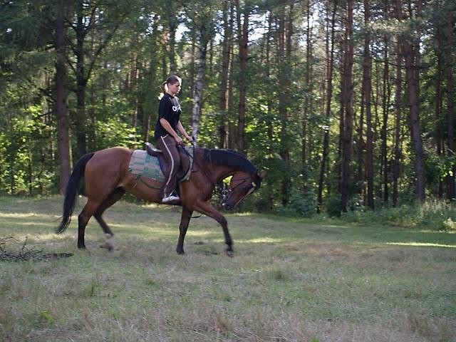 Ellparina. :)