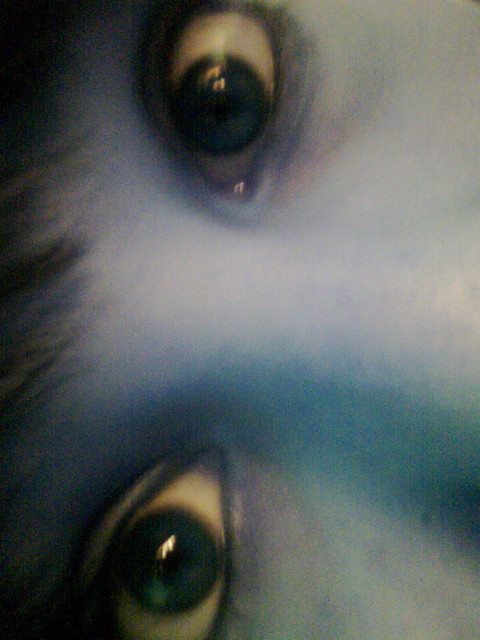 eye.