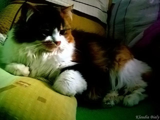 Lizka! ;D