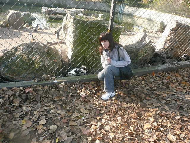 Wiesaw ;D.