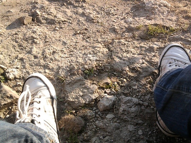 butki  ;D