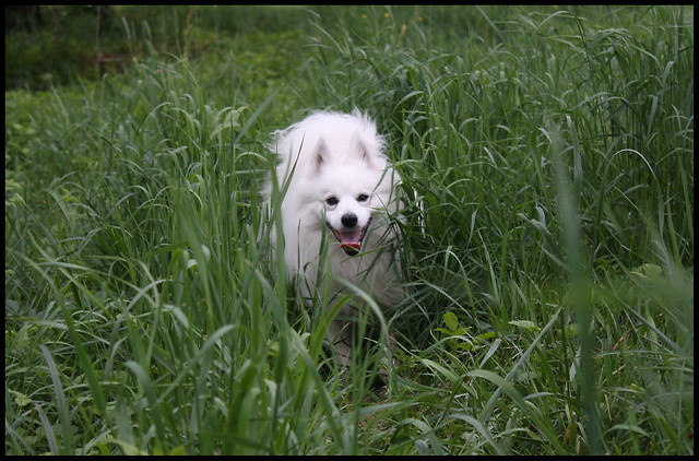 Lucky:D