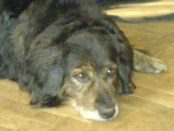 Max.! 