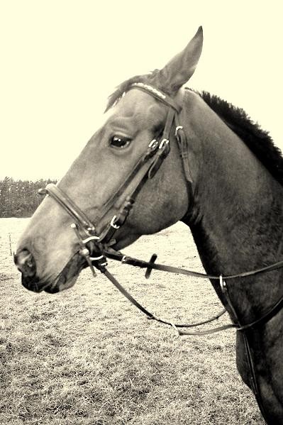 Mj kochany ;)